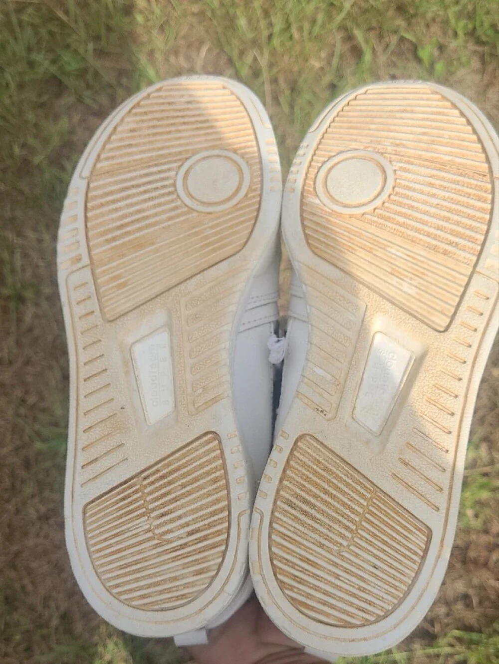 adidas women cloud